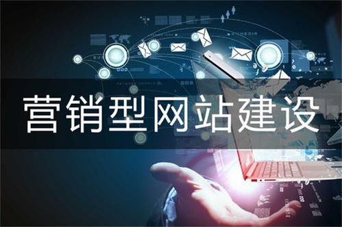定制型网站建设 星际网络 在线咨询 网站建设