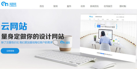 拉米拉揭秘模板网站与订制网站的区别_科技_网