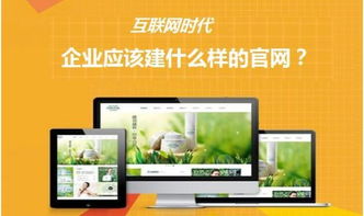 网站树立是全网营销不可短少的一局部