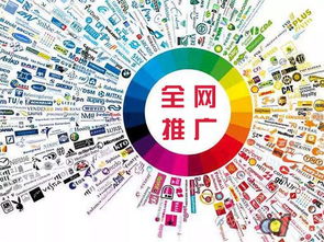 苏州产品网站营销新公司